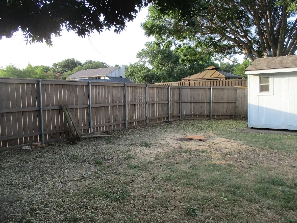Cleared yard after professional tree removal in Alba